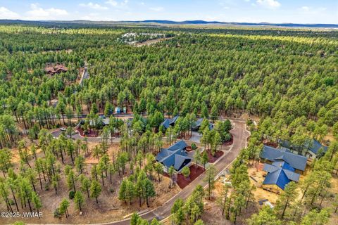 Tiny photo for 2381 W Bench Road, Show Low, AZ 85901 (MLS # 259011)