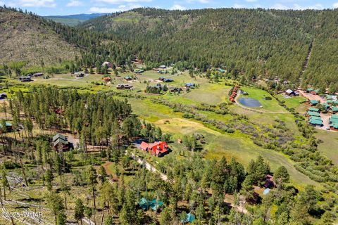 Tiny photo for 61 CR 1121, Greer, AZ 85927 (MLS # 257912)