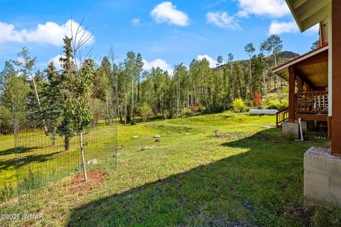 Tiny photo for 61 CR 1121, Greer, AZ 85927 (MLS # 257912)