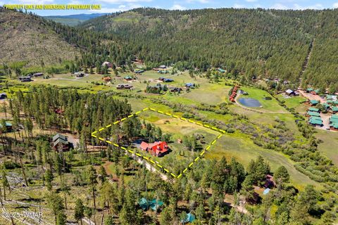Tiny photo for 61 CR 1121, Greer, AZ 85927 (MLS # 257912)