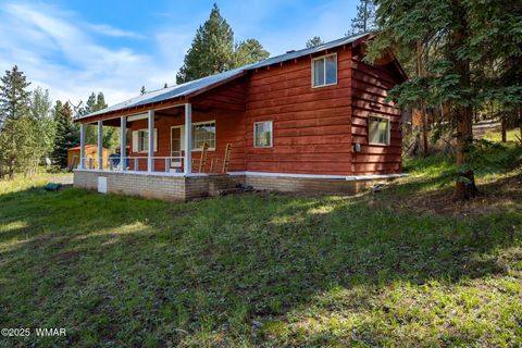 Tiny photo for 61 CR 1121, Greer, AZ 85927 (MLS # 257912)