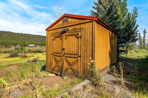Tiny photo for 61 CR 1121, Greer, AZ 85927 (MLS # 257912)