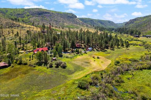 Tiny photo for 61 CR 1121, Greer, AZ 85927 (MLS # 257912)