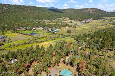 Tiny photo for 61 CR 1121, Greer, AZ 85927 (MLS # 257912)