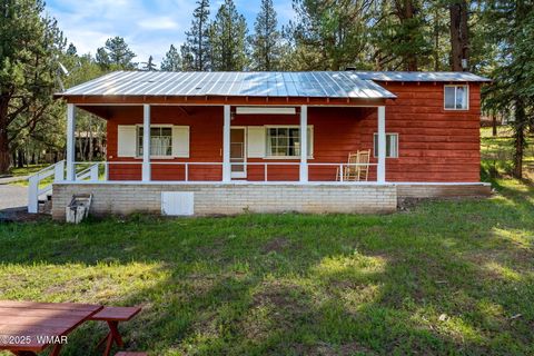 Tiny photo for 61 CR 1121, Greer, AZ 85927 (MLS # 257912)