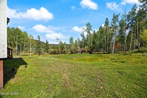 Tiny photo for 61 CR 1121, Greer, AZ 85927 (MLS # 257912)