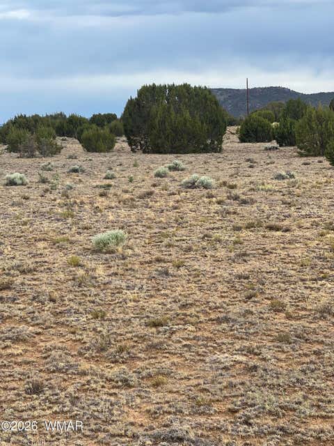 Photo of TBD 8206, Concho, AZ 85924 (MLS # 262124)