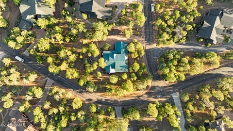 Tiny photo for 1281 Thinleaf Lane, Show Low, AZ 85901 (MLS # 261993)