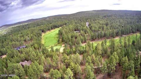 Tiny photo for 4161 W Wild Iris Lane, Show Low, AZ 85901 (MLS # 262765)