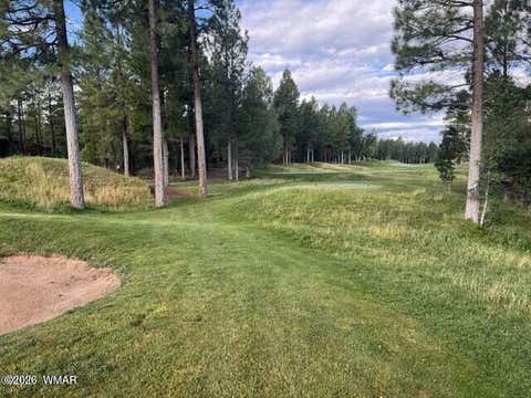 Photo of 4161 W Wild Iris Lane, Show Low, AZ 85901 (MLS # 262765)
