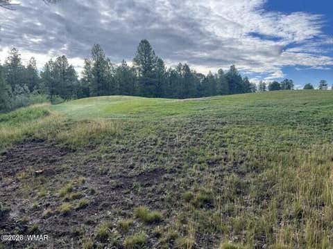 Tiny photo for 4161 W Wild Iris Lane, Show Low, AZ 85901 (MLS # 262765)
