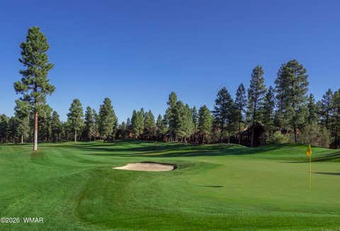 Tiny photo for 4161 W Wild Iris Lane, Show Low, AZ 85901 (MLS # 262765)