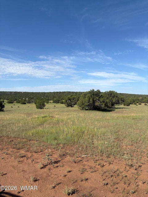 Photo of 80 County Rd 8238, Concho, AZ 85924 (MLS # 262921)