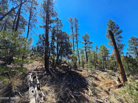 Tiny photo for 2953 S White Mountain RD, Show Low, AZ 85901 (MLS # 261036)