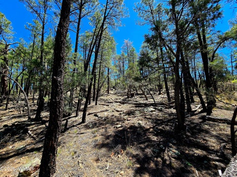Tiny photo for 2953 S White Mountain RD, Show Low, AZ 85901 (MLS # 261036)
