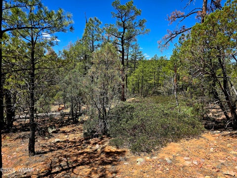 Tiny photo for 2953 S White Mountain RD, Show Low, AZ 85901 (MLS # 261036)