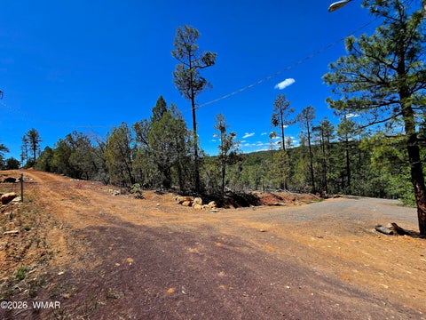 Tiny photo for 2953 S White Mountain RD, Show Low, AZ 85901 (MLS # 261036)