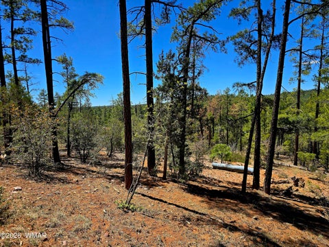 Tiny photo for 2953 S White Mountain RD, Show Low, AZ 85901 (MLS # 261036)