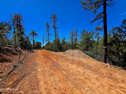 Tiny photo for 2953 S White Mountain RD, Show Low, AZ 85901 (MLS # 261036)