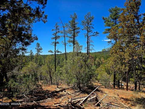 Tiny photo for 2953 S White Mountain RD, Show Low, AZ 85901 (MLS # 261036)