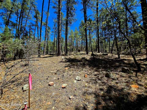 Tiny photo for 2953 S White Mountain RD, Show Low, AZ 85901 (MLS # 261036)