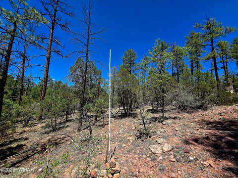 Tiny photo for 2953 S White Mountain RD, Show Low, AZ 85901 (MLS # 261036)