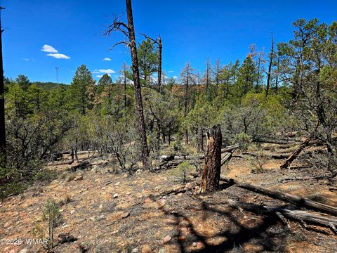 Photo of 2953 S White Mountain RD, Show Low, AZ 85901 (MLS # 261036)