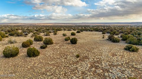 Tiny photo for TBD Shumway Rd - Lot 3, Shumway, AZ 85901 (MLS # 259328)