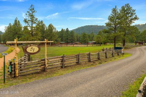 Tiny photo for 51 Main Street, Greer, AZ 85927 (MLS # 257510)