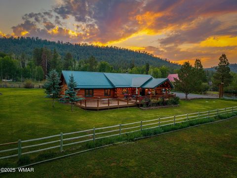 Tiny photo for 51 Main Street, Greer, AZ 85927 (MLS # 257510)