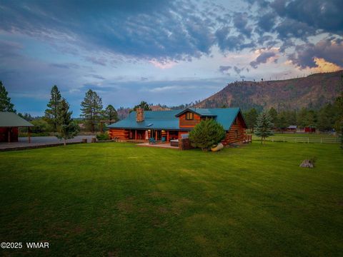 Tiny photo for 51 Main Street, Greer, AZ 85927 (MLS # 257510)