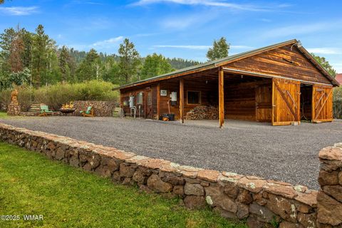 Tiny photo for 51 Main Street, Greer, AZ 85927 (MLS # 257510)