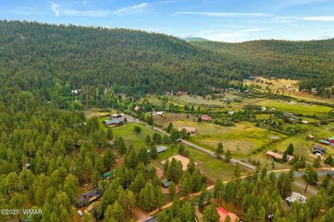 Tiny photo for 51 Main Street, Greer, AZ 85927 (MLS # 257510)