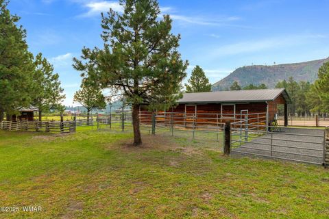Tiny photo for 51 Main Street, Greer, AZ 85927 (MLS # 257510)