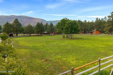 Tiny photo for 51 Main Street, Greer, AZ 85927 (MLS # 257510)