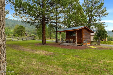 Tiny photo for 51 Main Street, Greer, AZ 85927 (MLS # 257510)