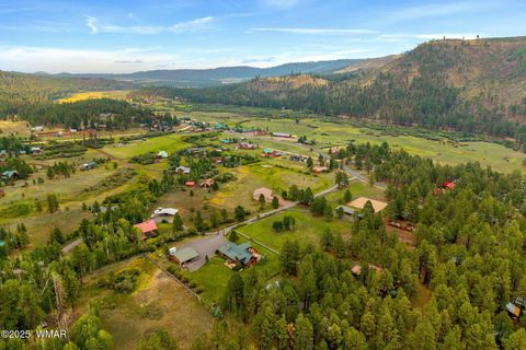Tiny photo for 51 Main Street, Greer, AZ 85927 (MLS # 257510)