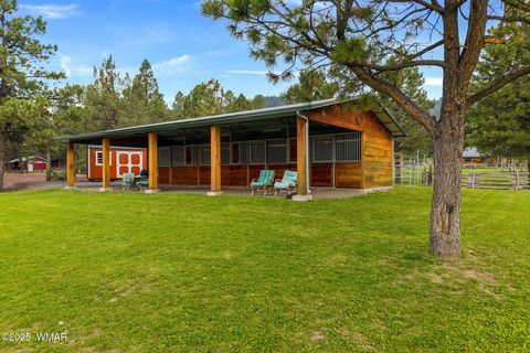 Tiny photo for 51 Main Street, Greer, AZ 85927 (MLS # 257510)