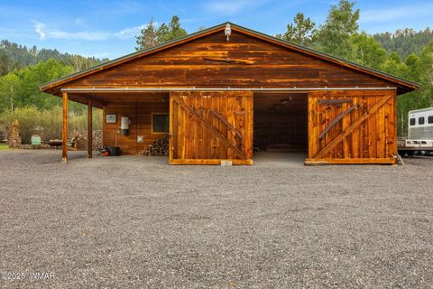 Tiny photo for 51 Main Street, Greer, AZ 85927 (MLS # 257510)