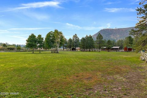 Tiny photo for 51 Main Street, Greer, AZ 85927 (MLS # 257510)