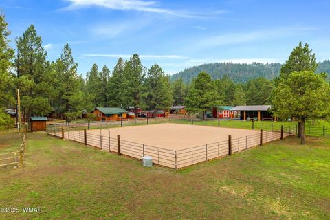 Tiny photo for 51 Main Street, Greer, AZ 85927 (MLS # 257510)