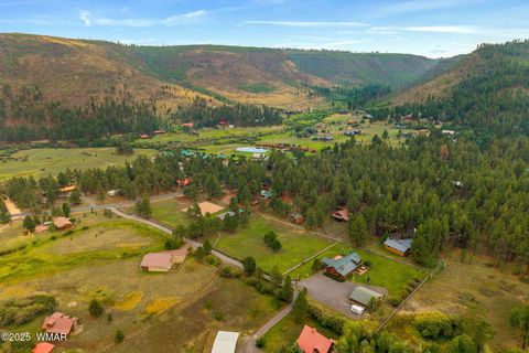 Tiny photo for 51 Main Street, Greer, AZ 85927 (MLS # 257510)