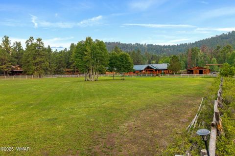 Tiny photo for 51 Main Street, Greer, AZ 85927 (MLS # 257510)