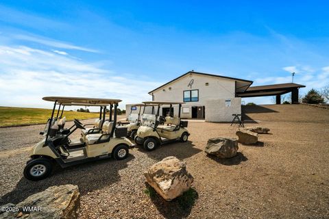 Tiny photo for 8578 Shoemake Place, Show Low, AZ 85901 (MLS # 262355)
