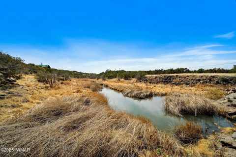 Tiny photo for 8578 Shoemake Place, Show Low, AZ 85901 (MLS # 262355)