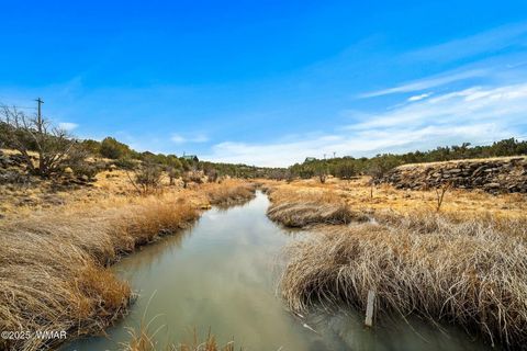 Tiny photo for 8578 Shoemake Place, Show Low, AZ 85901 (MLS # 262355)