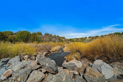Tiny photo for 8578 Shoemake Place, Show Low, AZ 85901 (MLS # 262355)