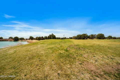 Tiny photo for 8578 Shoemake Place, Show Low, AZ 85901 (MLS # 262355)
