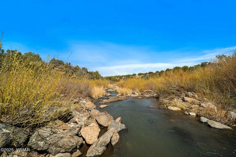 Tiny photo for 8578 Shoemake Place, Show Low, AZ 85901 (MLS # 262355)