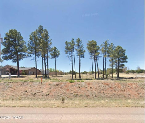 ADDRESS PRIVATE, OVERGAARD, AZ 85933 - Image 1231a29b8ebf5473c8a2ecac3fc0305d/27530180